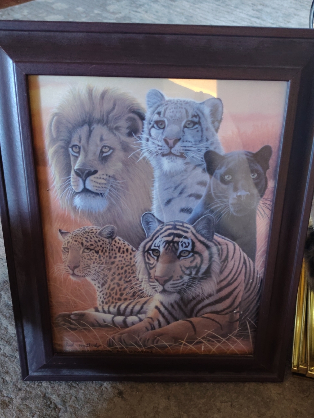 Lion Family Picture